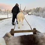 Lejlighed Hulppea Merenranta Hirsitalo *