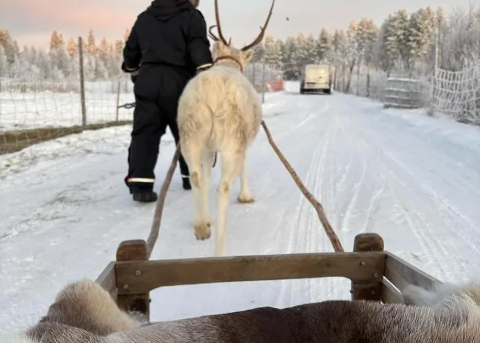 Apartment Hulppea Merenranta Hirsitalo *