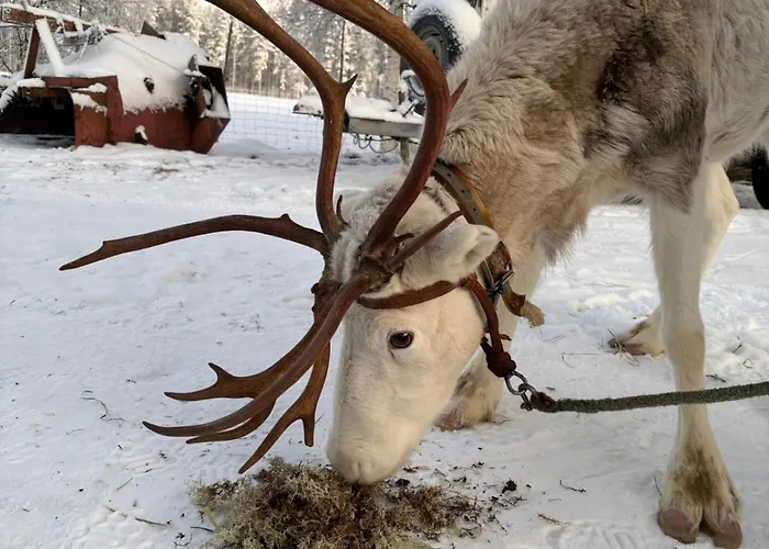 Apartment Hulppea Merenranta Hirsitalo *